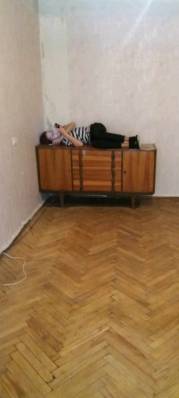 ფოტო 9: ქირავდება ბინა პეკინზე მობ,  596111900.