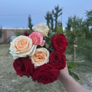 მერი