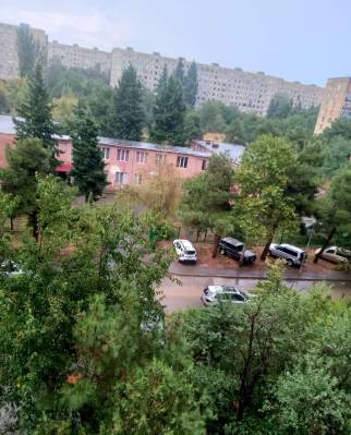ფოტო 6: ქირავდება სუფთა მყურდო ბინა,  წყნარ მშვიდ უბანში,  არის N80 საჯარო ბაღის წინ,   სადაც არის ყველანაირი სატრანსპორტო საშუალება,  ასევე ქსელური მარკეტები,  და აფთიაქები,  ორი ნაბიჯი,  ლიბრე,  ავერსი,  psp,  ფარმადეპო,  სუფთა სახლი.  დარეკეთ 599509072,  577319037