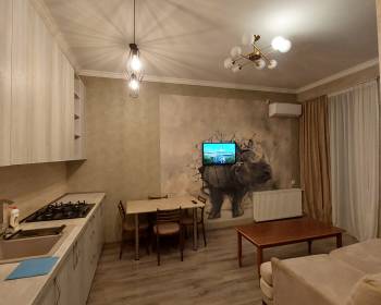 ქირავდება დღიურად და საათობრივად 2 ოთახიანი ბინა დიდ დიღომში