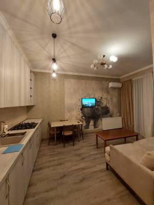 ფოტო 1: ქირავდება დღიურად და საათობრივად 2 ოთახიანი ბინა დიდ დიღომში