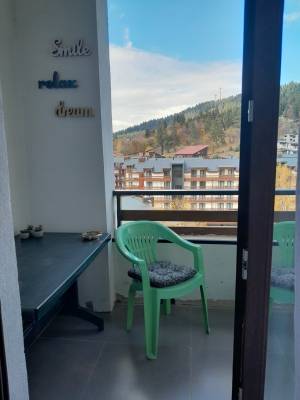 ფოტო 7: ქირავდება ბინა ბაკურიანში