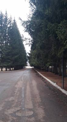 ფოტო 8: ქირავდება ბინა ბაკურიანში