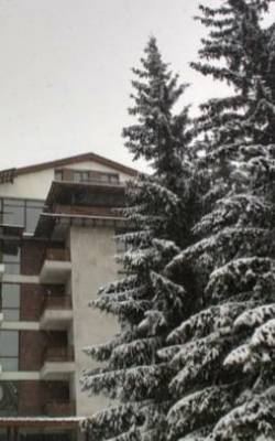 ფოტო 10: ქირავდება ბინა ბაკურიანში