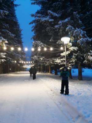 ფოტო 13: ქირავდება ბინა ბაკურიანში