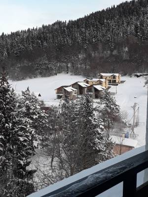 ფოტო 17: ქირავდება ბინა ბაკურიანში