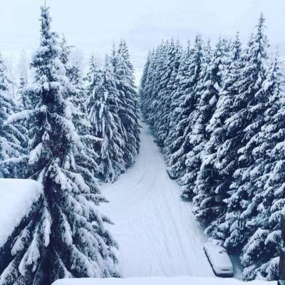 ფოტო 22: ქირავდება ბინა ბაკურიანში