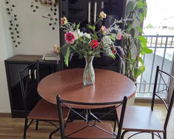 კეთილმოწყობილი ბინა მეტრო თავისუფლების მოედანთან