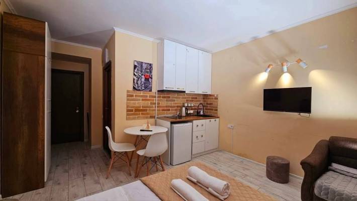 ფოტო 3: ქირავდება ბინა ბაკურიანში დღიურად