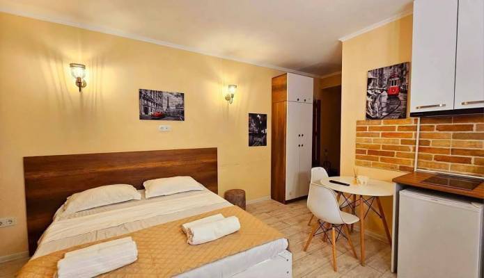 ფოტო 8: ქირავდება ბინა ბაკურიანში დღიურად