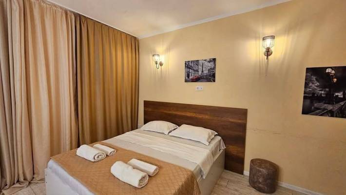 ფოტო 10: ქირავდება ბინა ბაკურიანში დღიურად