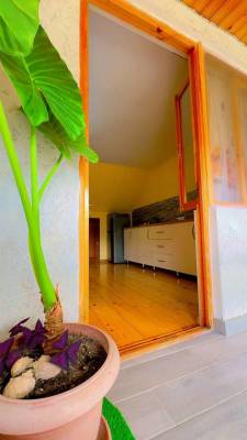 ფოტო 5: ქირავდება ორ ოთახიანი აპარტამენტი აივნითა და მთის ულამაზესი ხედით