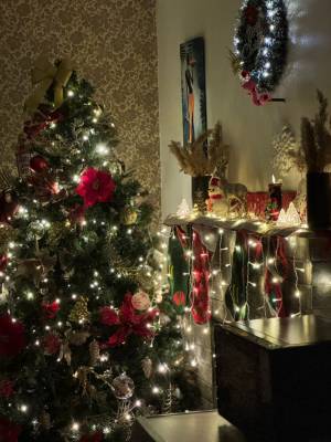 ფოტო 4: ბაკურიანში ქირავდება კოტეჯი