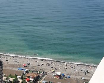 ქირავდება სასტუმრო ბათუმში