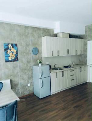 ფოტო 3: ბაკურიანში ქირავდება ბინა