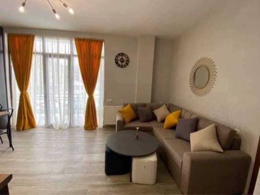 ფოტო 3: ქირავდება აპარტამენტი ბაკურიანში