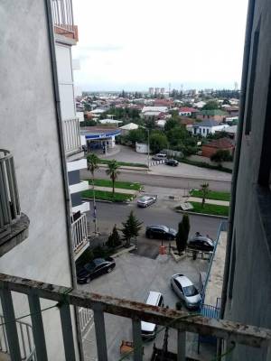 ფოტო 6: აღმაშენებლის N 112 ახლაშენებული ბინა. პალმების ხეივანში