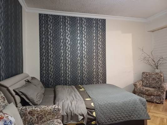 ფოტო 3: ქირავდება ბორჯომში დღიურად