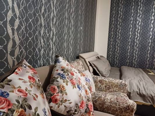 ფოტო 4: ქირავდება ბორჯომში დღიურად