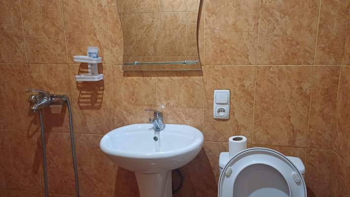 ფოტო 5: ქირავდება ბორჯომში დღიურად