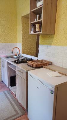 ფოტო 6: ქირავდება ბორჯომში დღიურად