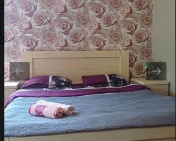 ქირავდება ბორჯომში დღიურად