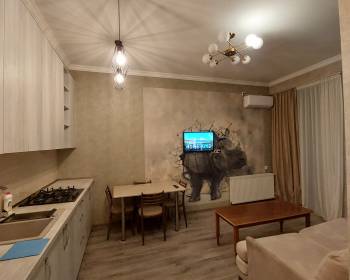 ქირავდება დღიურად და საათობრივად 2 ოთახიანი ბინა დიდ დიღომში