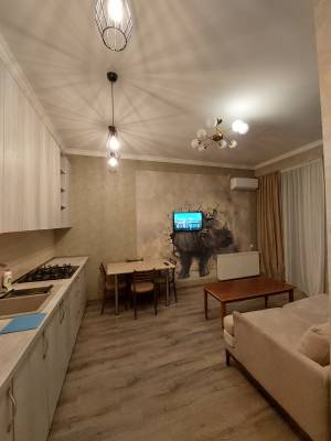 ფოტო 1: ქირავდება დღიურად და საათობრივად 2 ოთახიანი ბინა დიდ დიღომში