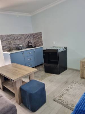 ფოტო 12: ქირავდება სტუდიოს ტიპის აპარტამენტი