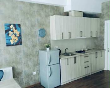 ბაკურიანში ქირავდება ბინა