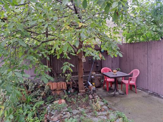 ფოტო 8: ქირავდება ბინა მცხეთაში დღიურად