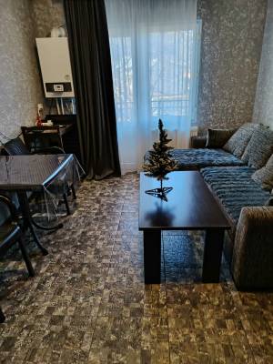 ფოტო 4: ქირავდება ბინა ბაკურიანში