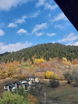 ფოტო 5: ქირავდება ბინა ბაკურიანში