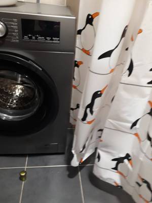 ფოტო 13: ქირავდება ბინა ბაკურიანში