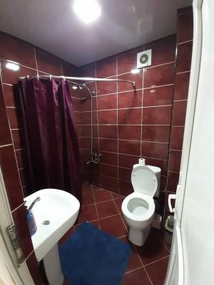 ფოტო 9: ქირავდება დღიურად ბინა ფოთში