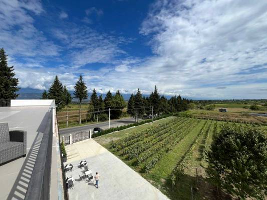 ფოტო 2: ქირავდება ბინა თელავში