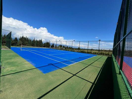 ფოტო 4: ქირავდება ბინა თელავში