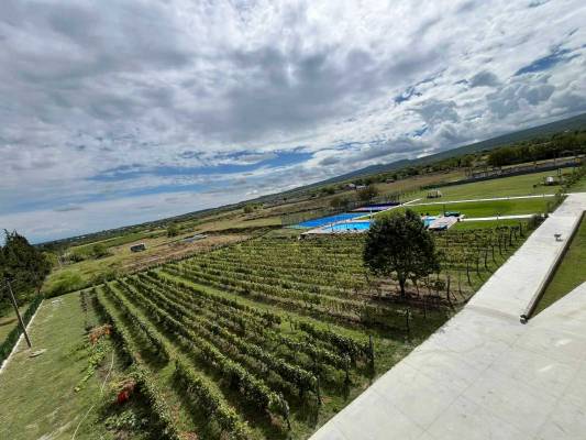 ფოტო 3: ქირავდება ბინა თელავში