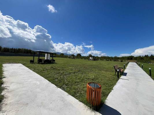 ფოტო 6: ქირავდება ბინა თელავში