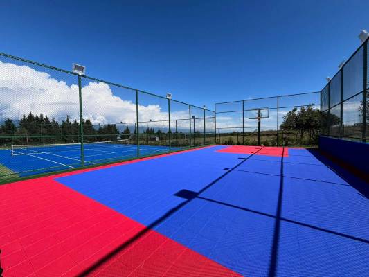 ფოტო 5: ქირავდება ბინა თელავში