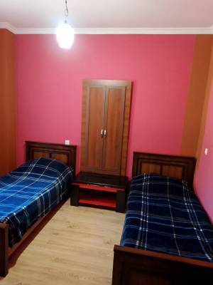 ფოტო 6: ბაკურიანში ქირავდება კოტეჯი