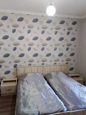 ფოტო 8: ბაკურიანში ქირავდება კოტეჯი