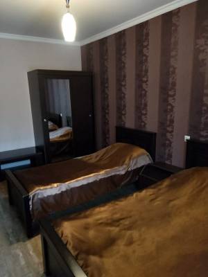 ფოტო 14: ბაკურიანში ქირავდება კოტეჯი