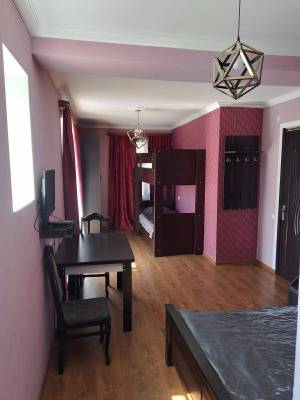 ფოტო 17: ბაკურიანში ქირავდება კოტეჯი