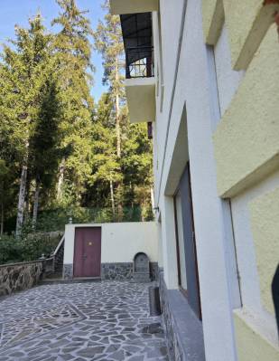 ფოტო 7: ქირავდება კოტეჯი ბორჯომში