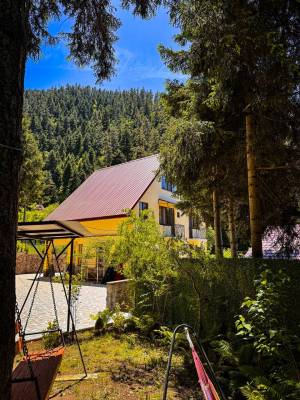 ფოტო 11: ქირავდება კოტეჯი ბორჯომში