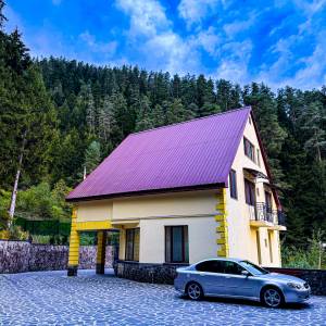 ქირავდება კოტეჯი ბორჯომში