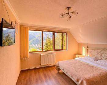 ბინა ბორჯომში