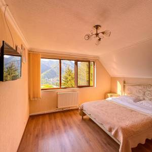 ბინა ბორჯომში