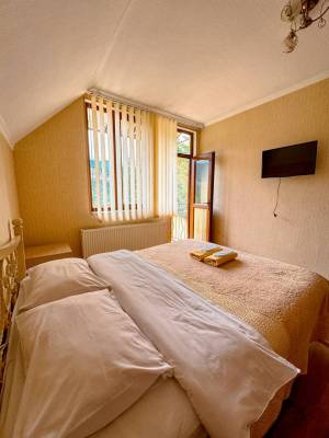 ფოტო 2: ბინა ბორჯომში